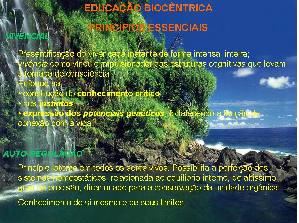 [EducaÃ§Ã£o+BiocÃªntrica+05.JPG]