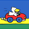[duck_driving.gif]