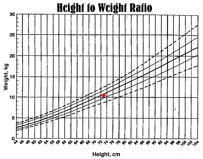[Height+to+Weight.JPG]