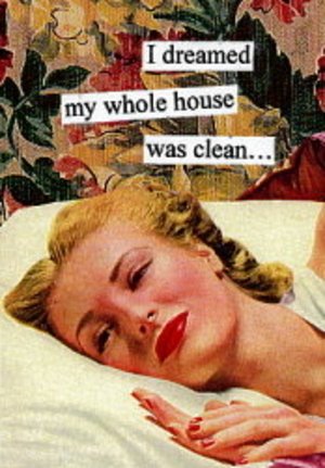 [I+dreamed+my+whole+house+was+clean.jpg]