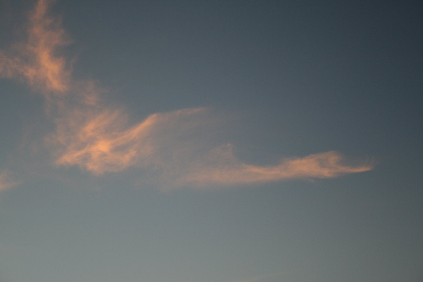 [birds+clouds+003.jpg]
