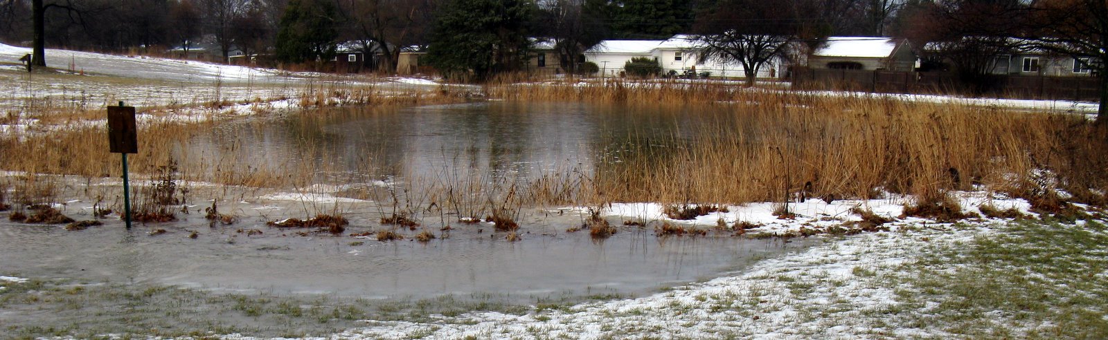 [2008+February+Wet+Meadow+Thaw26.jpg]