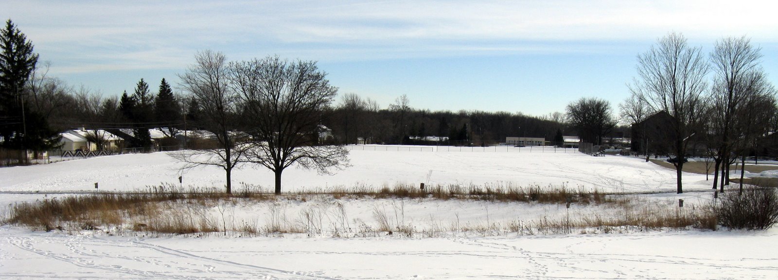 [2008+February+Wet+Meadow+Snow1.jpg]