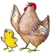 [pollos+y+gallinas.gif]