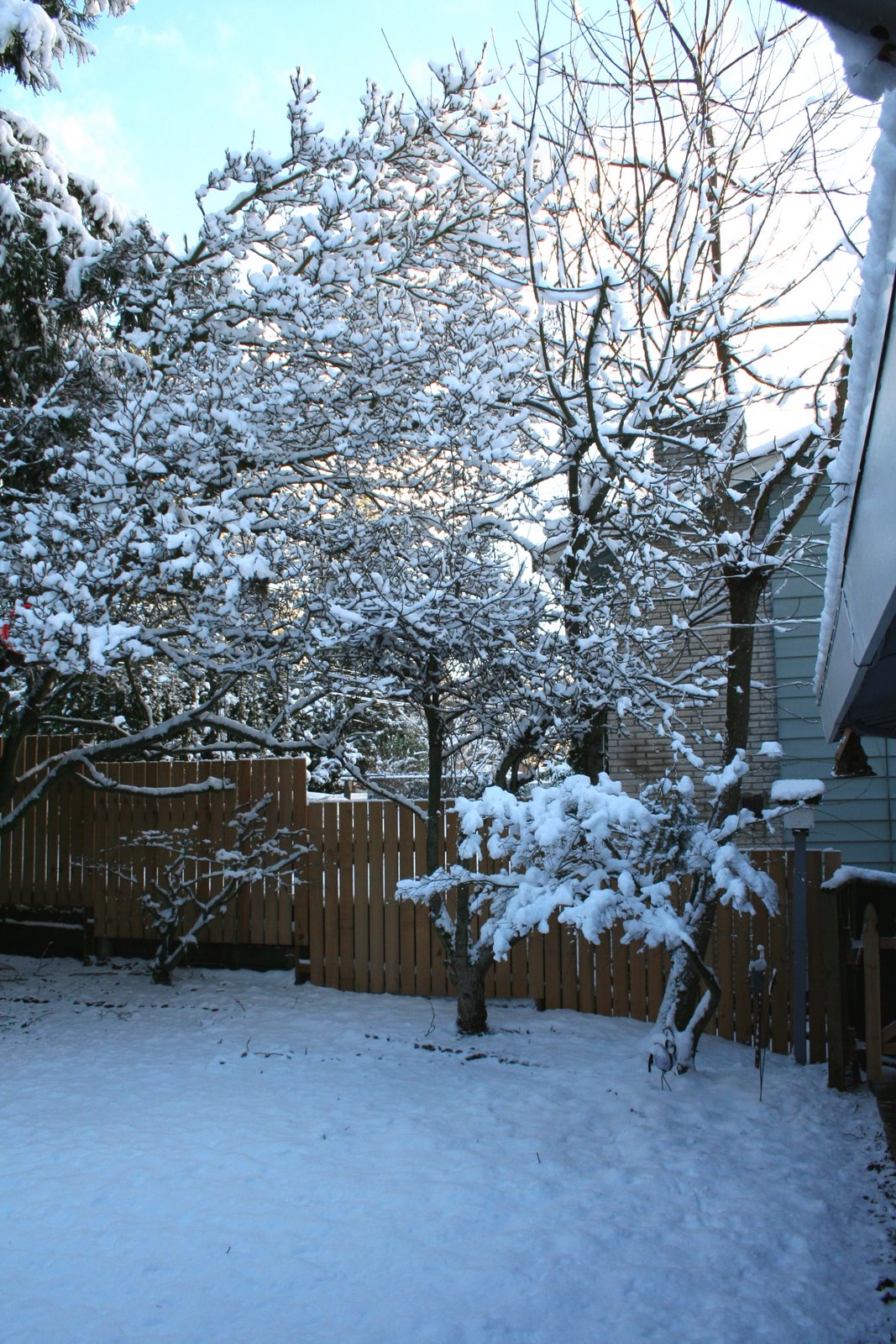 [Frnt+yard+Seattle+Snow+2008.jpg]