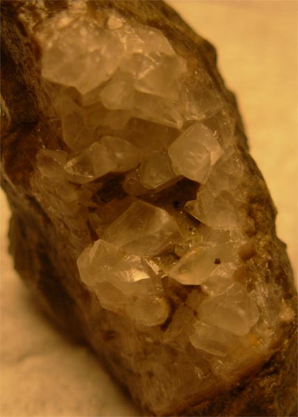 [quartz+brachiopod+2+btown+rd+05-16-08.jpg]