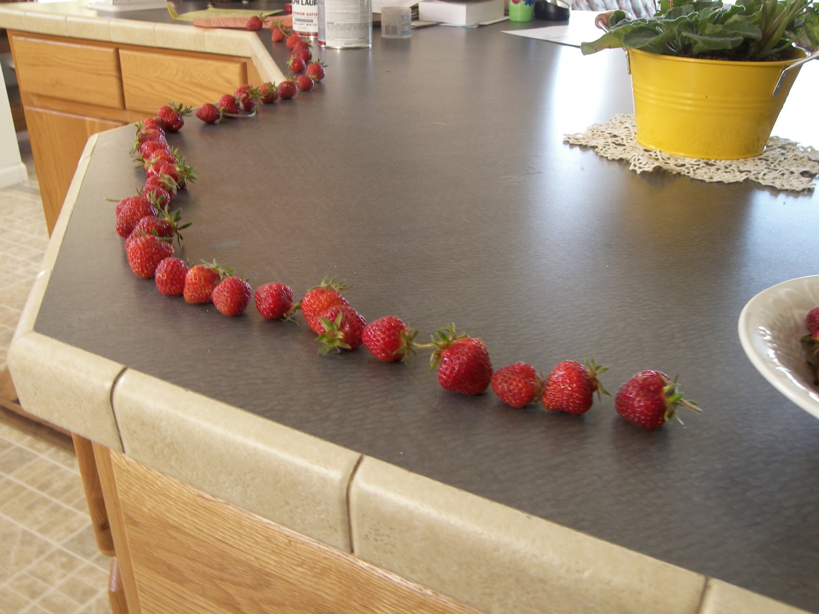 [strawberry+parade.JPG]