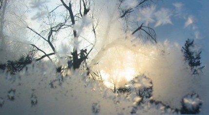 [Edited+Frost+Tree+Light.jpg]
