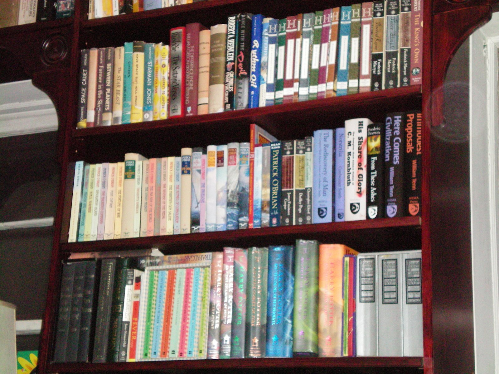 [bookshelves.JPG]