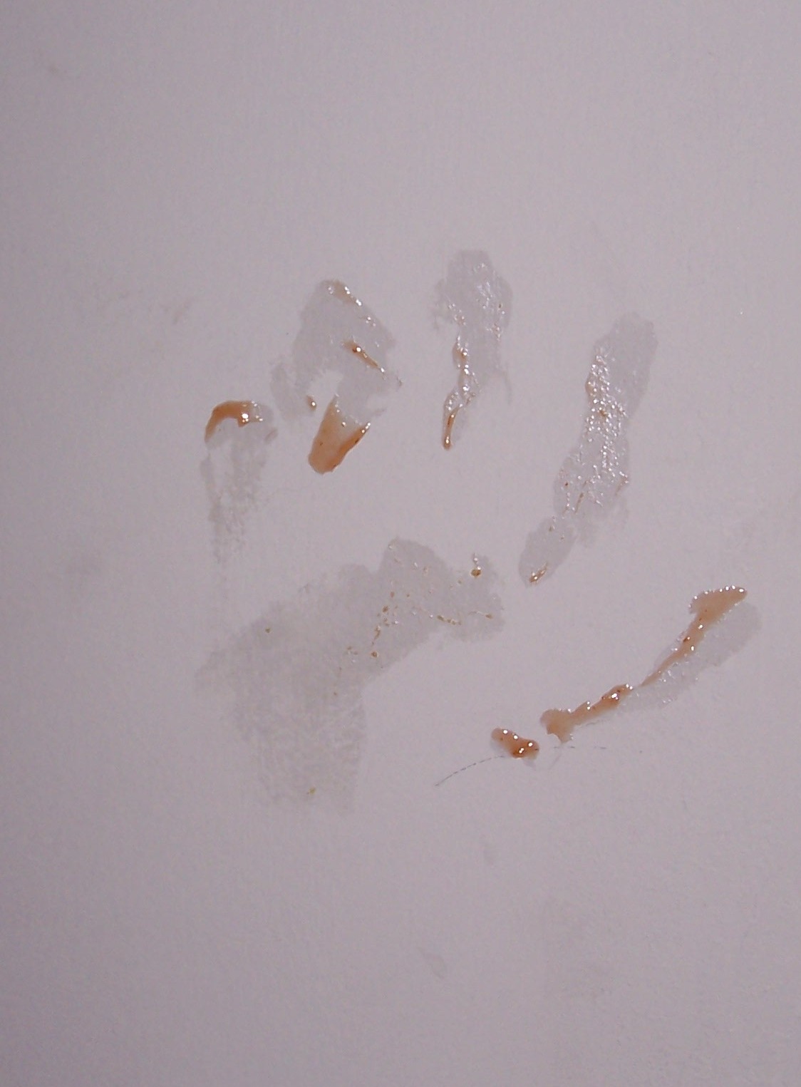 [handprint.jpg]
