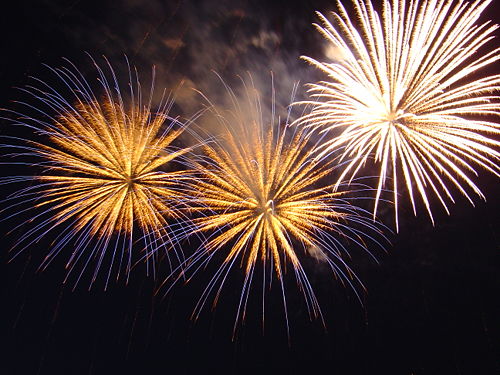 [500px-Bratislava_New_Year_Fireworks.jpg]