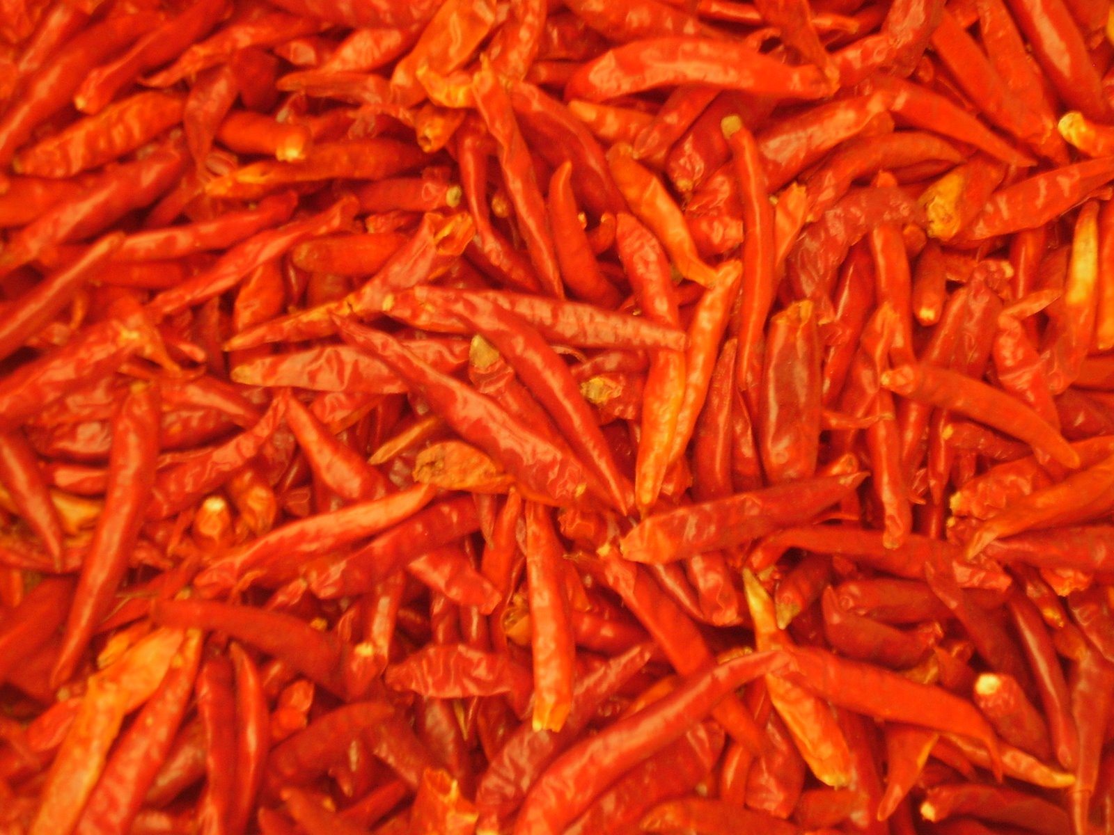 [hot+peppers.JPG]
