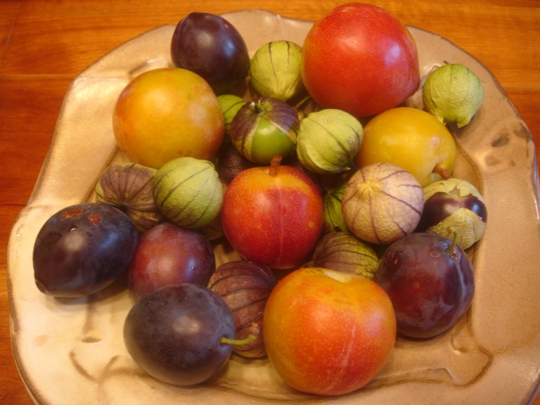 [Still+life+with+Tomotillos+and+plums.jpg]