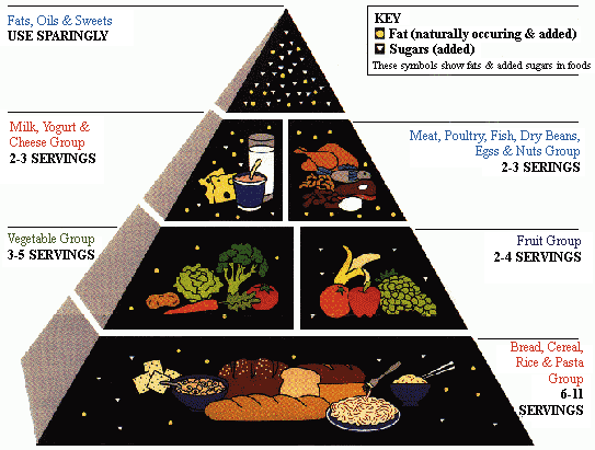 [food-pyramid.gif]
