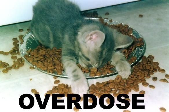 [overdose.jpg]