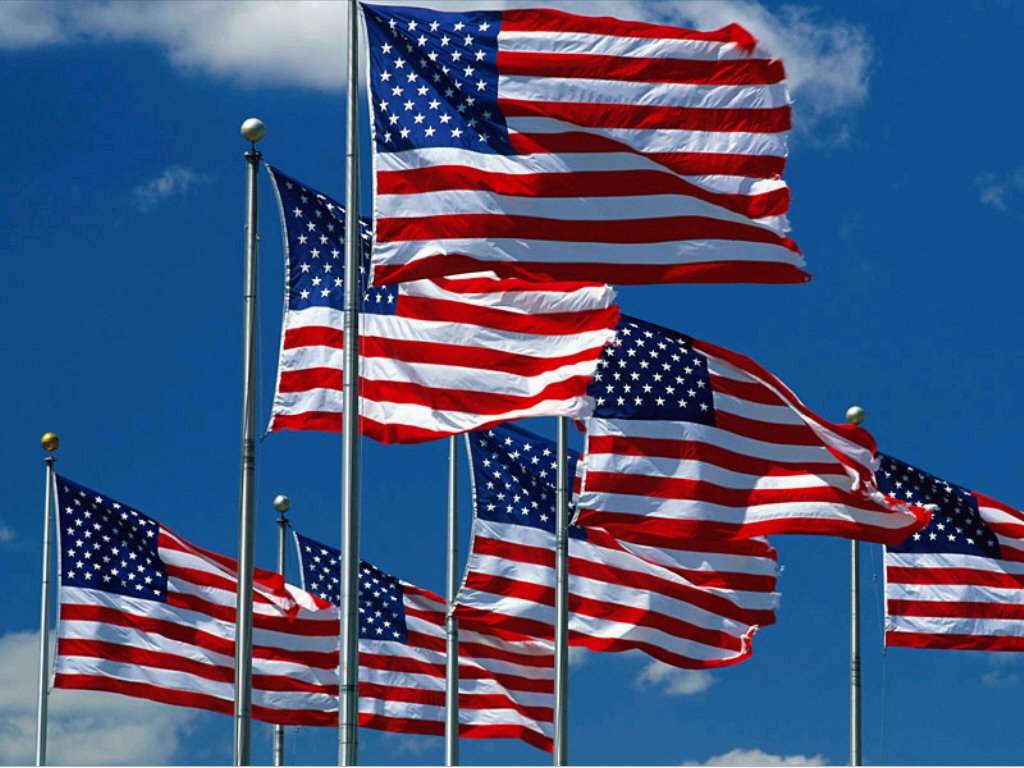 [American+Flags.bmp]