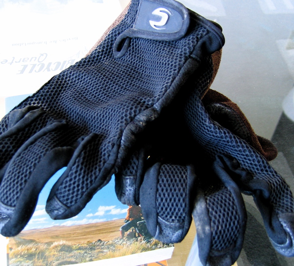 [gloves+2.jpg]