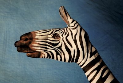 [mão+zebra.jpg]