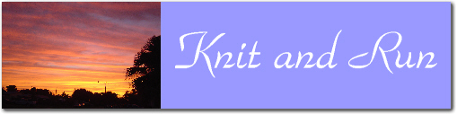 Knit and Run (crochet too!)