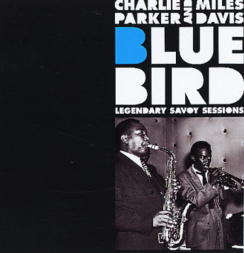 [DAVIS+PARKER+bluebird.jpg]