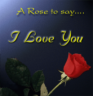 [rose-i-love-you.gif]