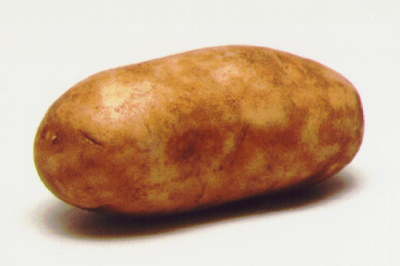 [potato.JPG]