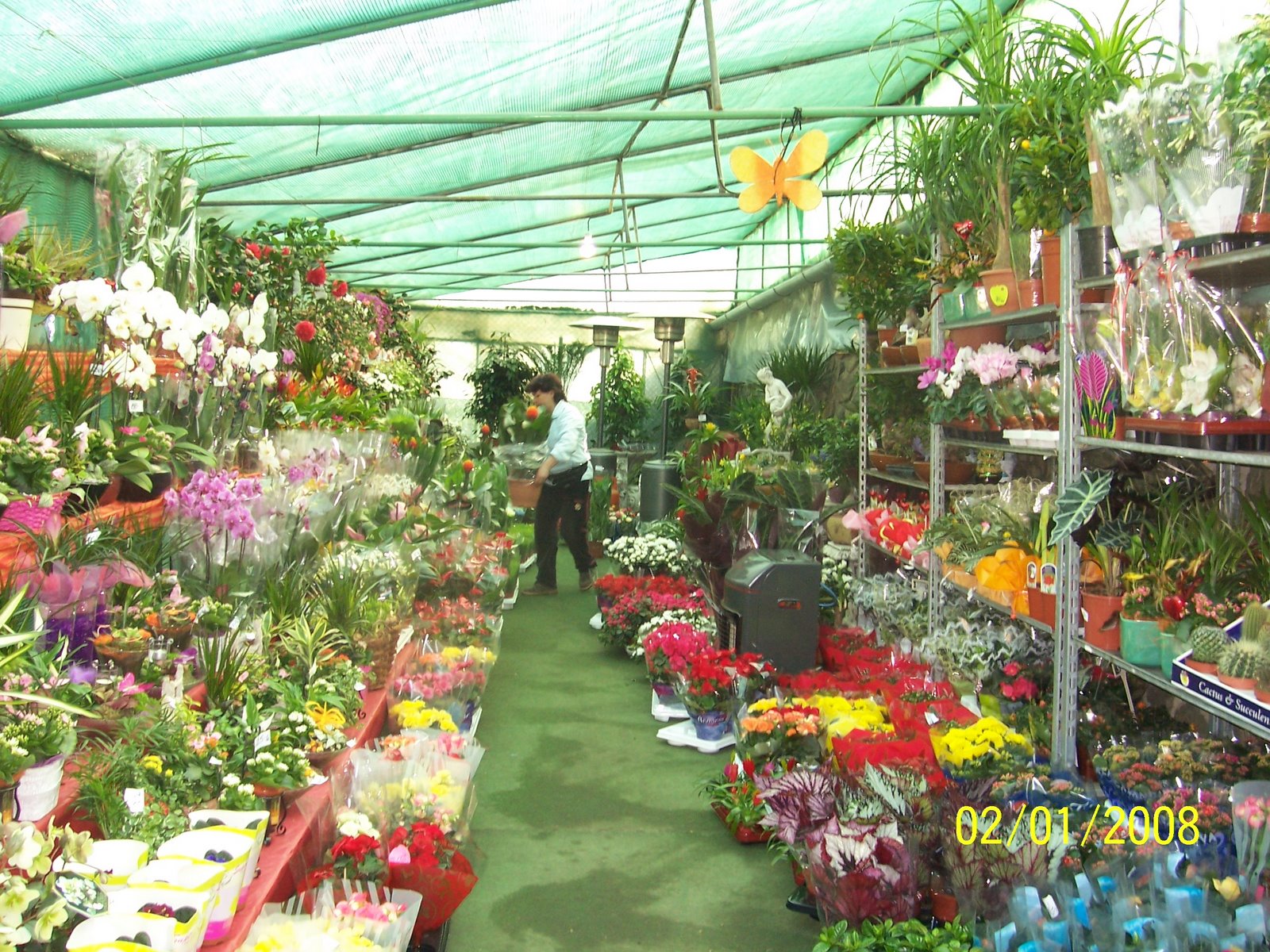 Flowers in the market
