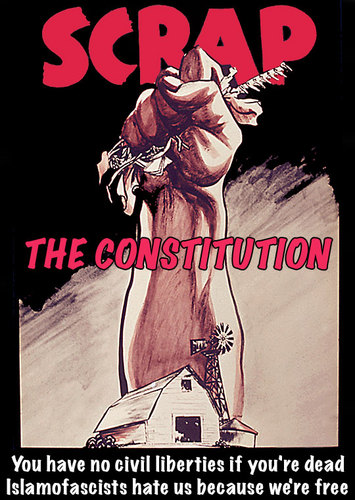 [Scrap-Constitution-e.jpg]