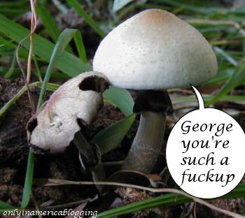[mushroom+G+H+W.jpg]