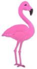 [pink_flamingo.jpg]