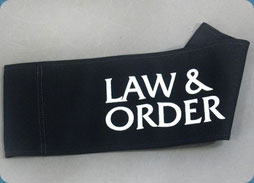 [law+order+dir+chair.jpg]