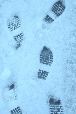 [snow+footpriints.jpg]