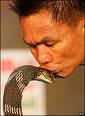 [kissing+snakes.jpg]