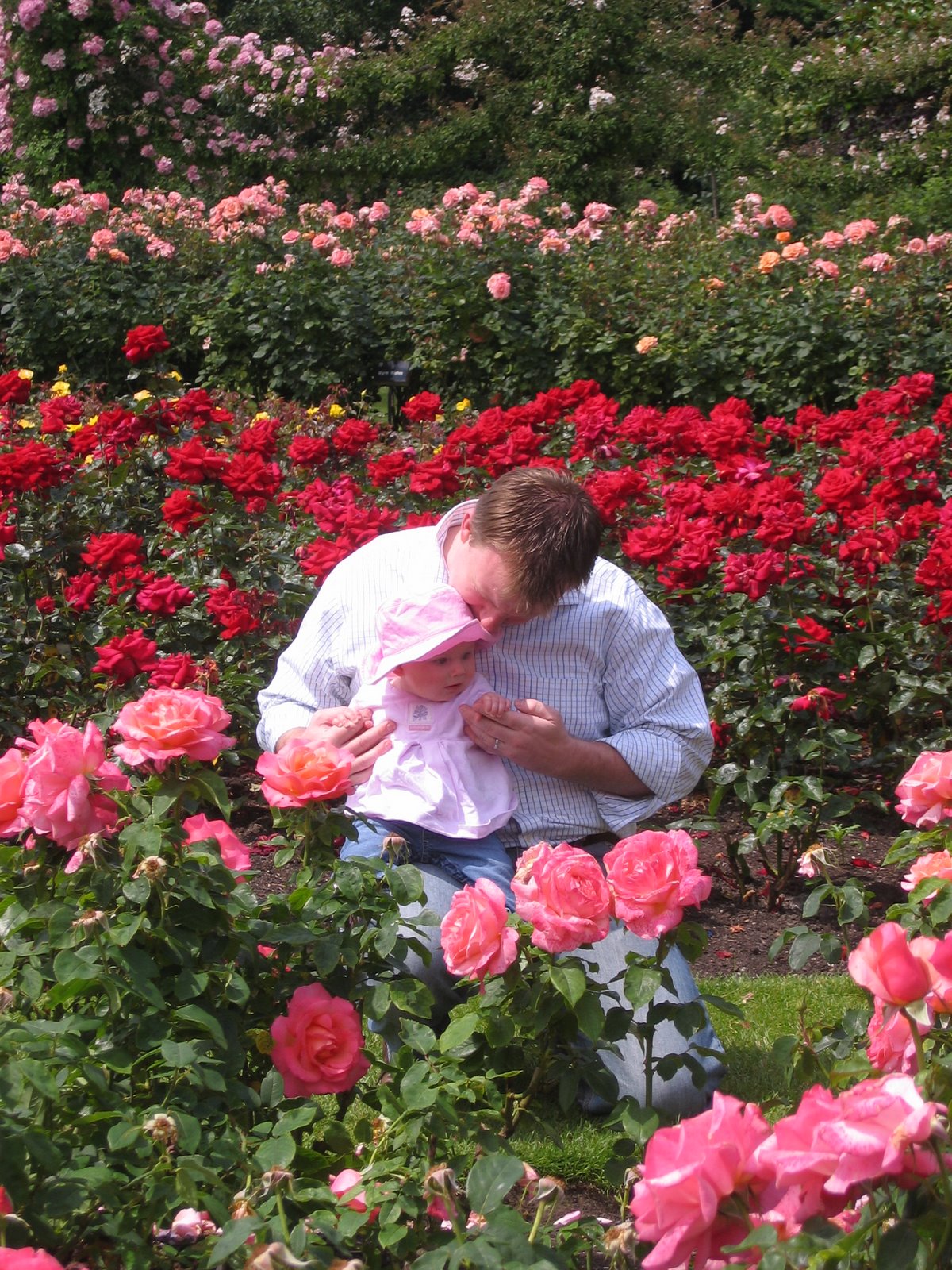 [IMG_9672+smelling+the+roses.JPG]