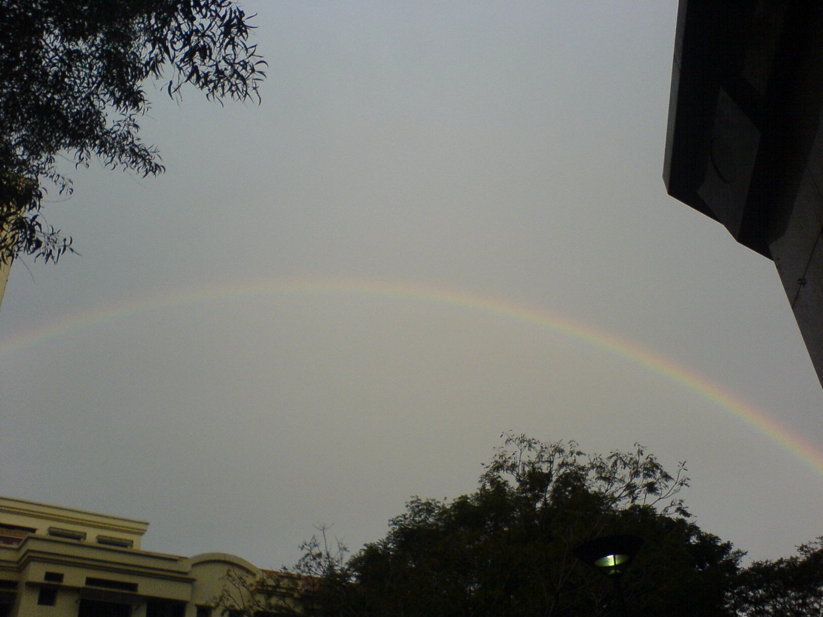 [rainbow+2.JPG]