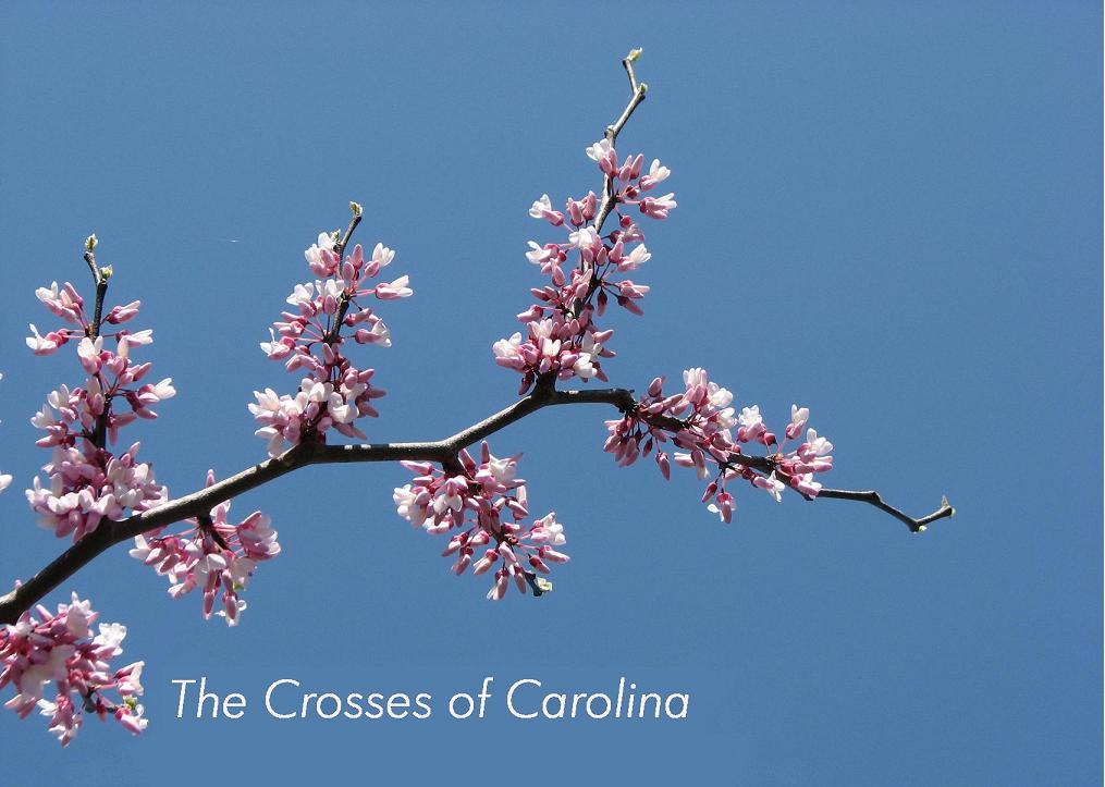 Crosses of Carolina