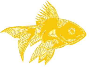 [goldfish2.gif]
