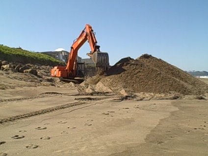 [big+sand+shovel.jpg]