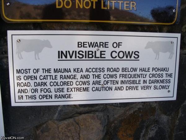 [beware_of_invisible_cows.jpg]