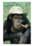 [chimp+glasses.jpg]