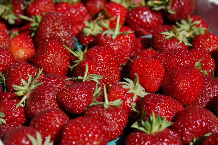 [07.07.08.strawberry.jpg]