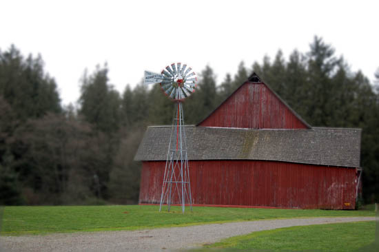 [barn+windmill+copy+2.jpg]