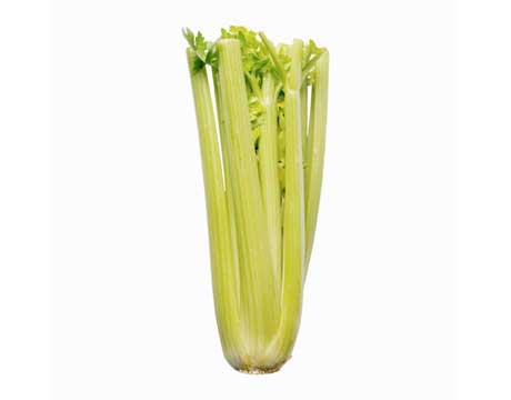 [Celery.jpg]