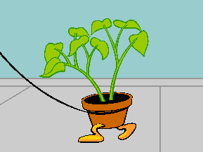 [plant2cp.gif]
