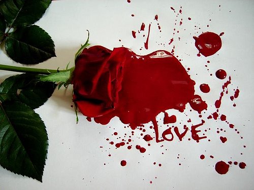 [bleeding+rose.jpg]