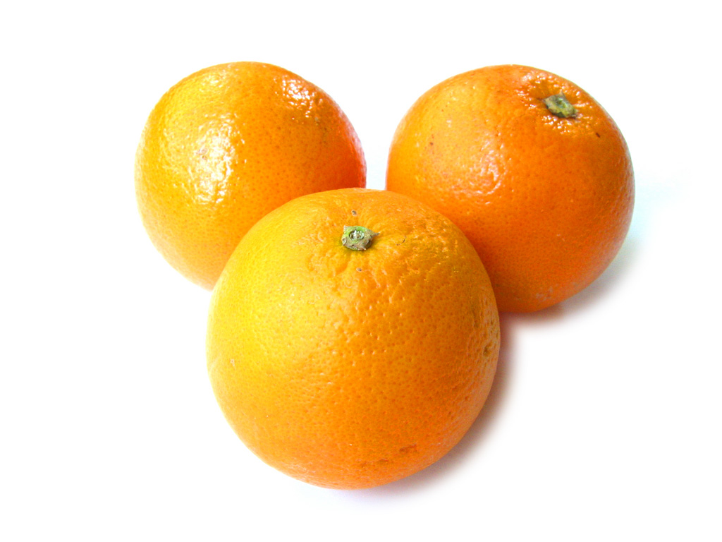 [oranges-01.jpg]