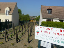 Vignes de Pontoise