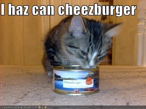 [i+haz+can+cheezburger.JPG]