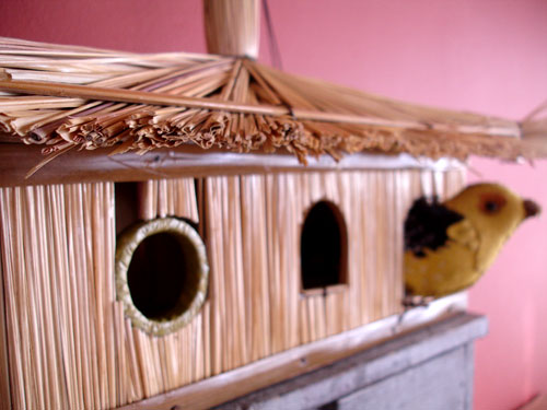 [birdhouse.jpg]