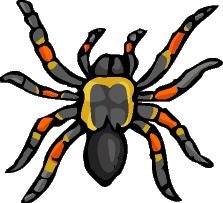 [big+spider.gif]